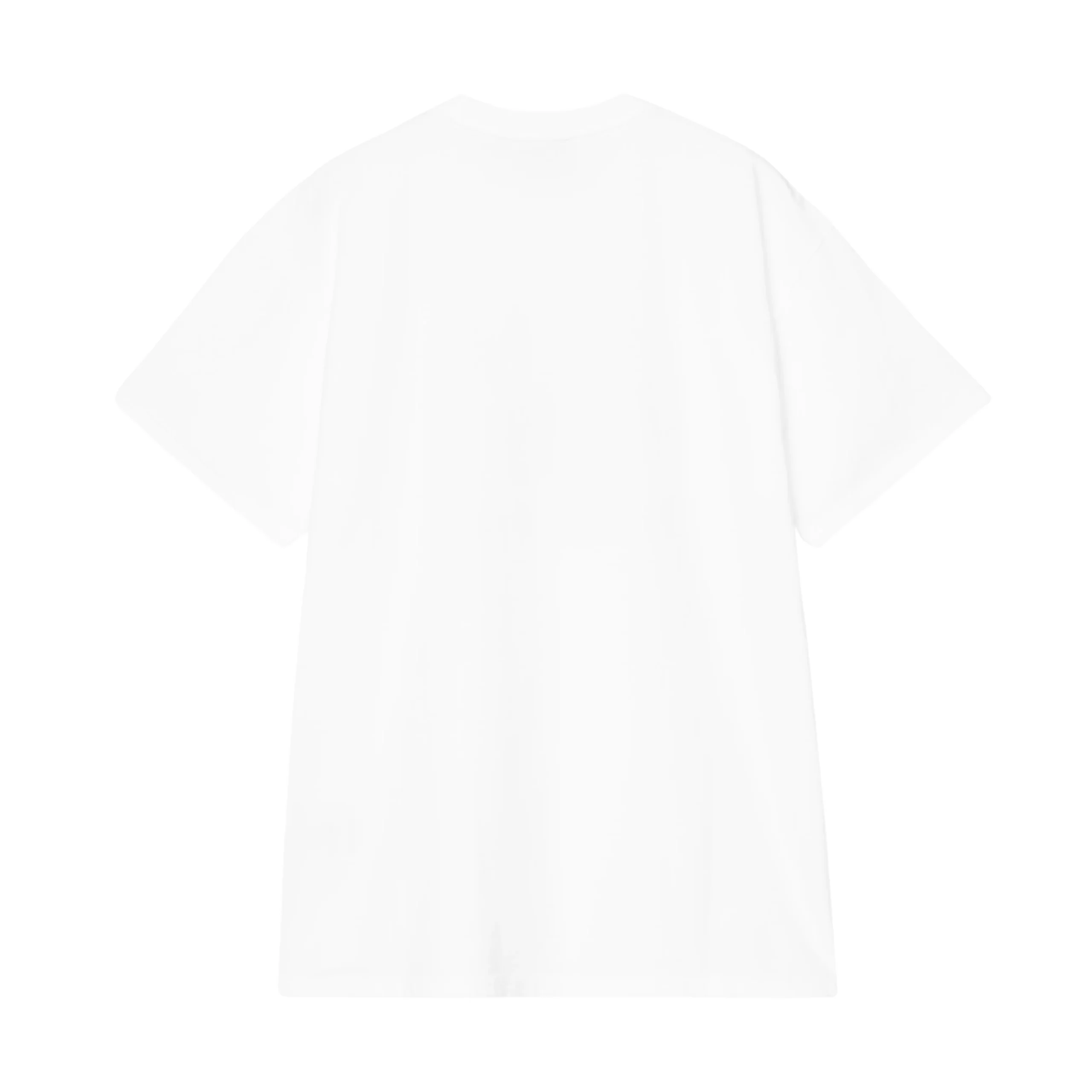 Carhartt WIP Coat Of Arms T-Shirt - White (heavy stone wash) - Image 2
