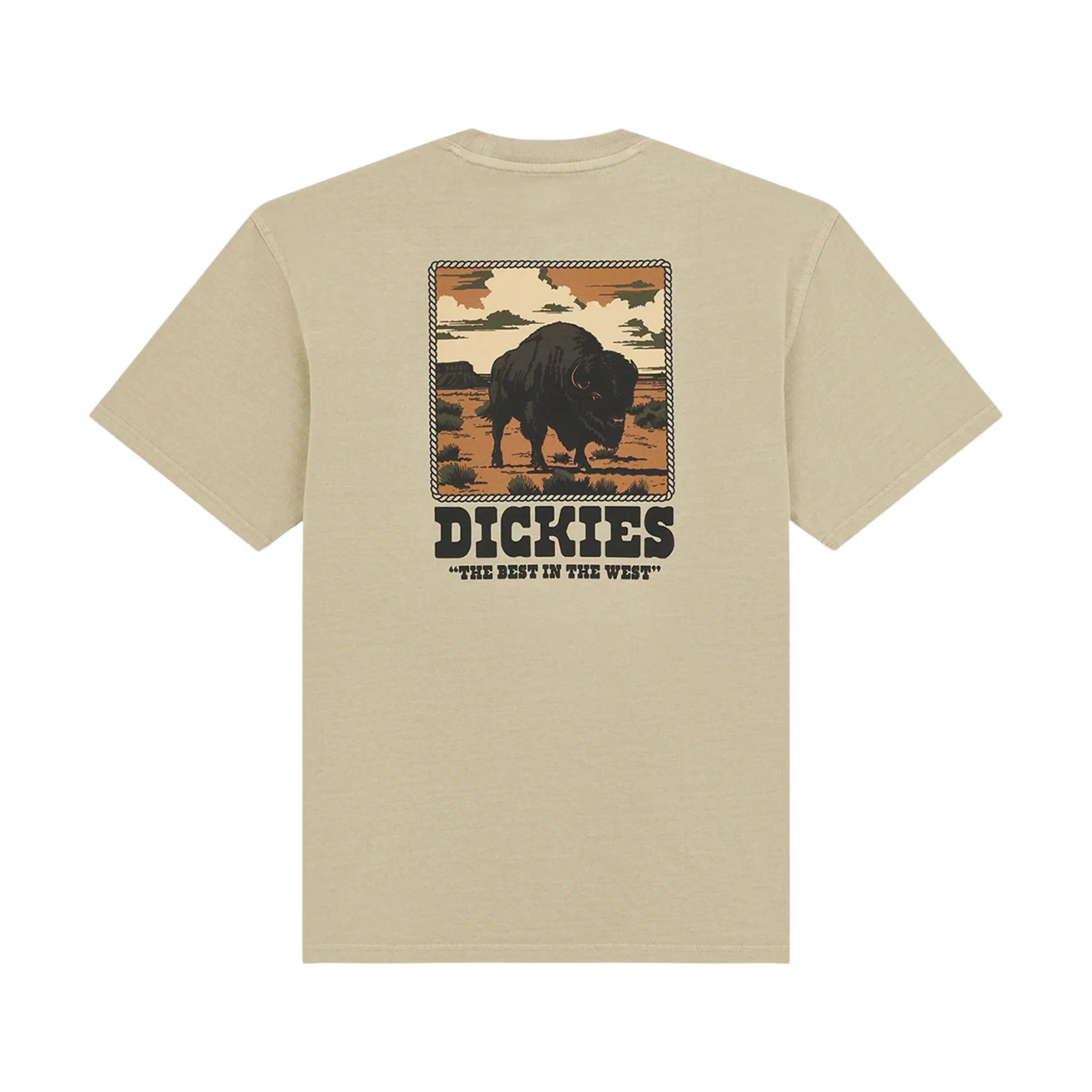 Dickies Darrtown T-Shirt - Eucalyptus - Image 2
