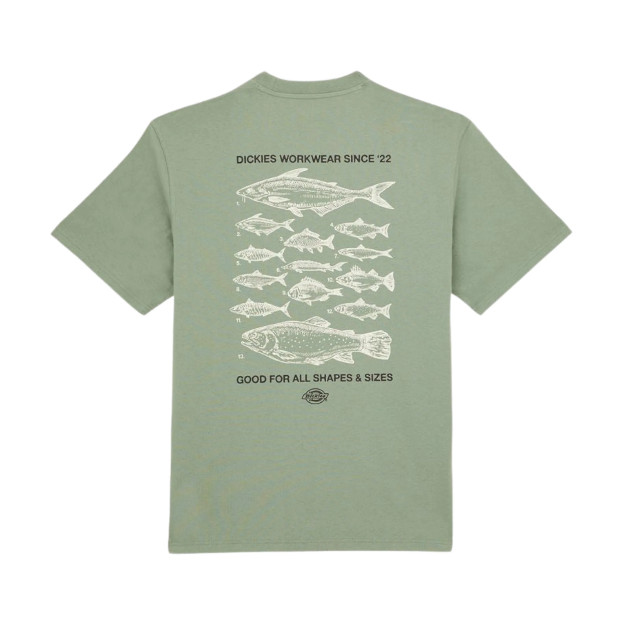 Dickies Laryville T-Shirt - Sea Spray - Image 2